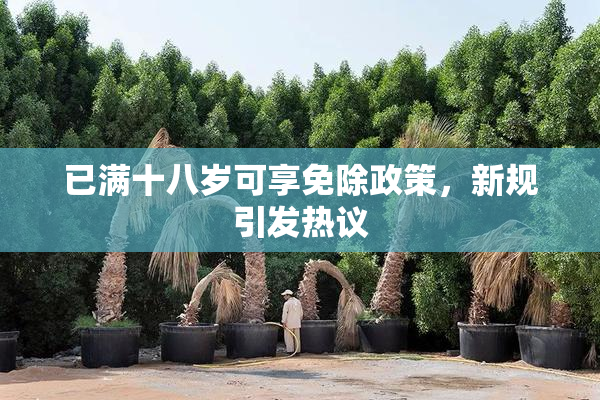 已满十八岁可享免除政策，新规引发热议