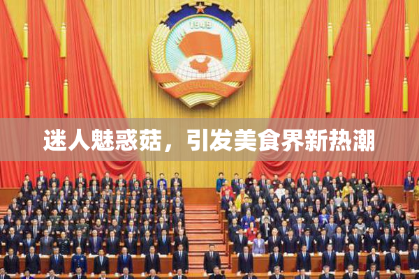 迷人魅惑菇，引发美食界新热潮