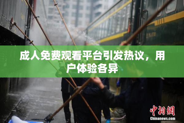 成人免费观看平台引发热议，用户体验各异