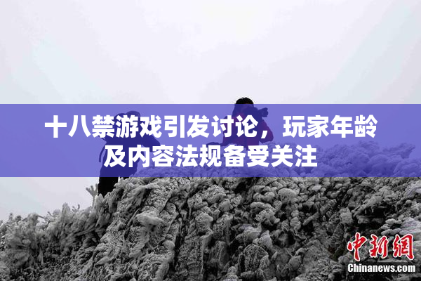 十八禁游戏引发讨论，玩家年龄及内容法规备受关注