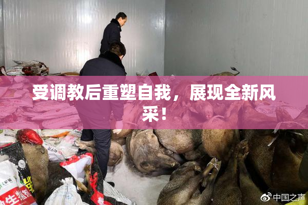 受调教后重塑自我，展现全新风采！