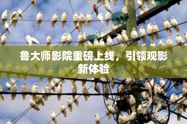 鲁大师影院重磅上线，引领观影新体验