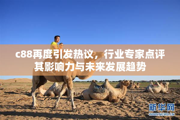 c88再度引发热议，行业专家点评其影响力与未来发展趋势