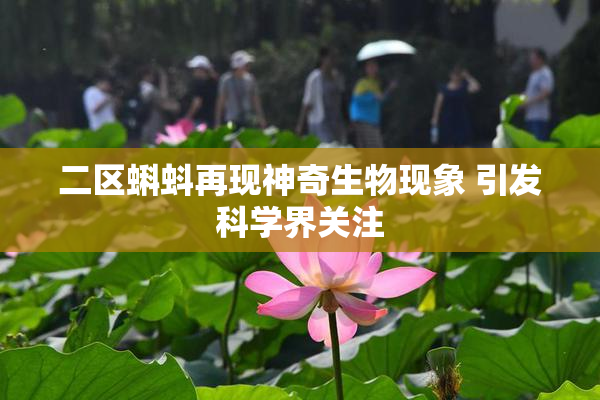 二区蝌蚪再现神奇生物现象 引发科学界关注