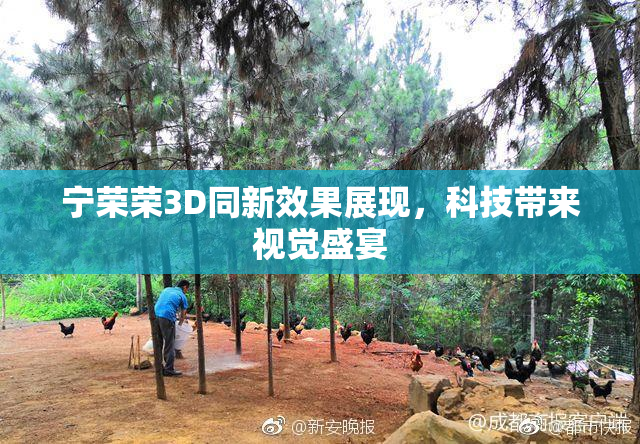 宁荣荣3D同新效果展现，科技带来视觉盛宴