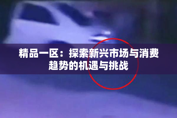 精品一区：探索新兴市场与消费趋势的机遇与挑战