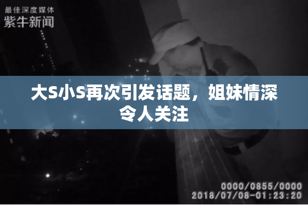大S小S再次引发话题，姐妹情深令人关注