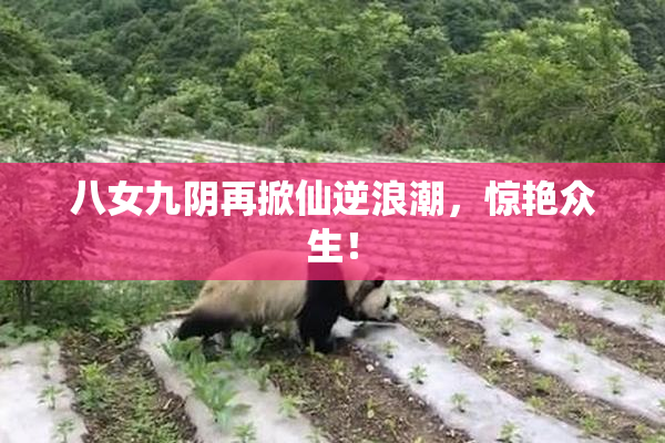 八女九阴再掀仙逆浪潮，惊艳众生！