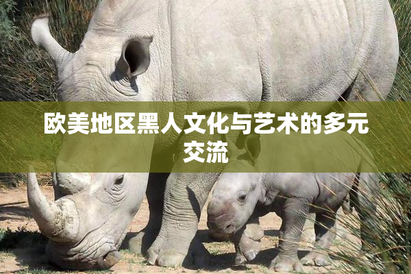欧美地区黑人文化与艺术的多元交流