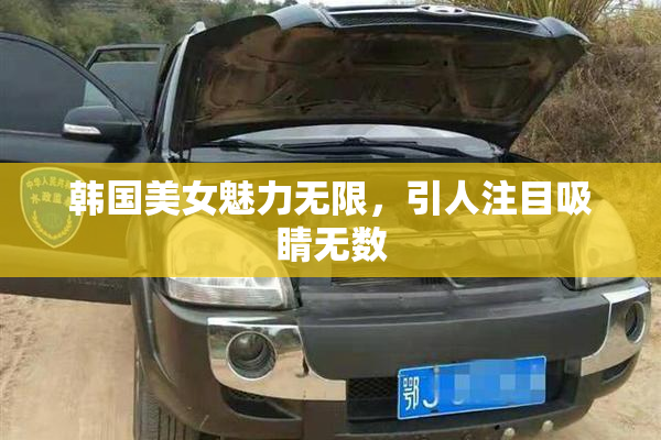 韩国美女魅力无限，引人注目吸睛无数