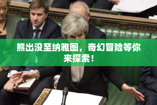 熊出没至纳雅图，奇幻冒险等你来探索！