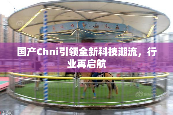 国产Chni引领全新科技潮流，行业再启航