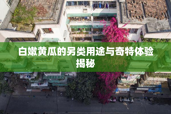 白嫩黄瓜的另类用途与奇特体验揭秘