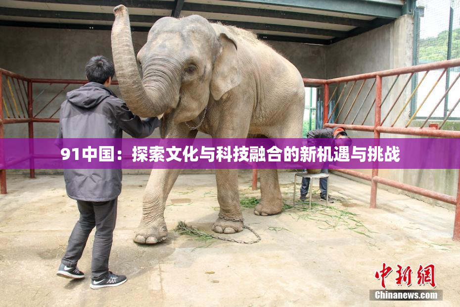 91中国：探索文化与科技融合的新机遇与挑战