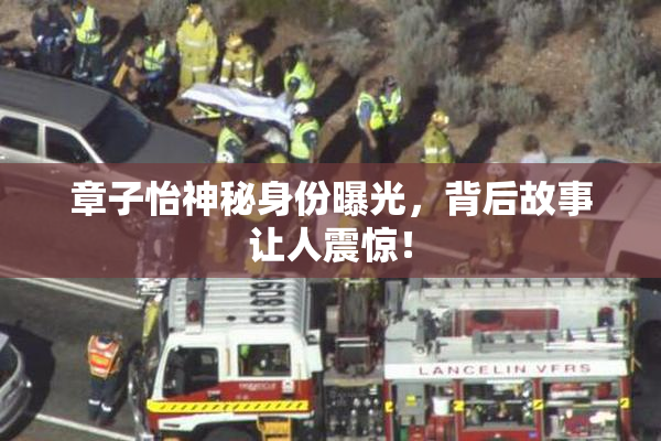 章子怡神秘身份曝光，背后故事让人震惊！