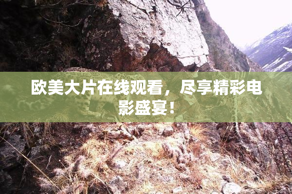 欧美大片在线观看，尽享精彩电影盛宴！