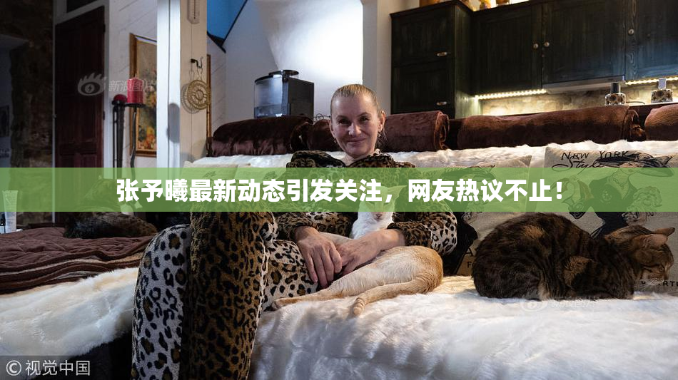张予曦最新动态引发关注，网友热议不止！