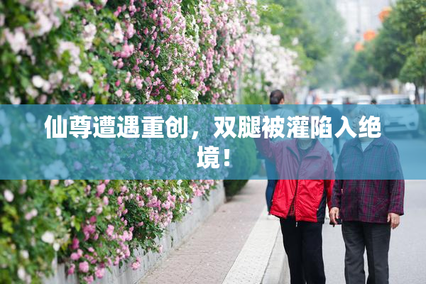 仙尊遭遇重创，双腿被灌陷入绝境！