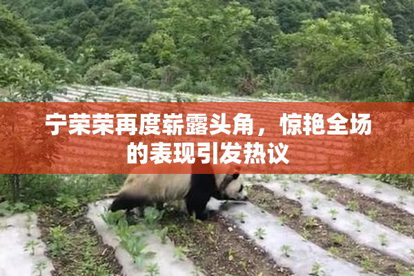 宁荣荣再度崭露头角，惊艳全场的表现引发热议
