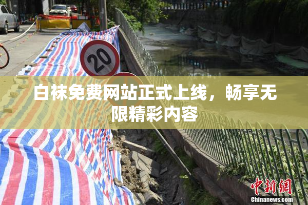 白袜免费网站正式上线，畅享无限精彩内容