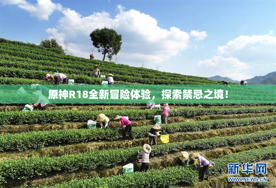 原神R18全新冒险体验，探索禁忌之境！