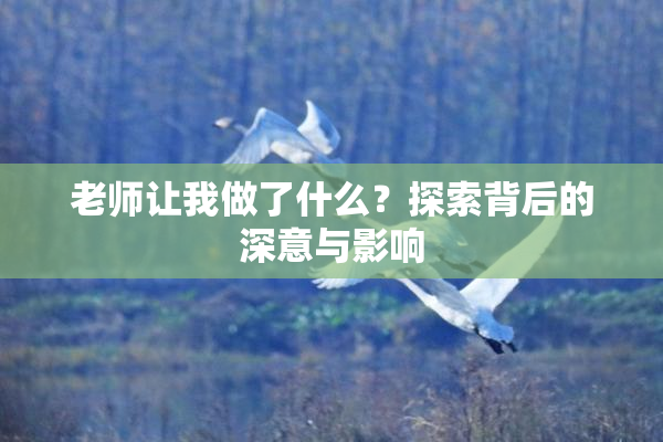 老师让我做了什么？探索背后的深意与影响