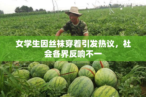 女学生因丝袜穿着引发热议，社会各界反响不一