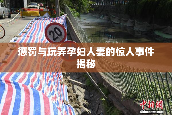惩罚与玩弄孕妇人妻的惊人事件揭秘
