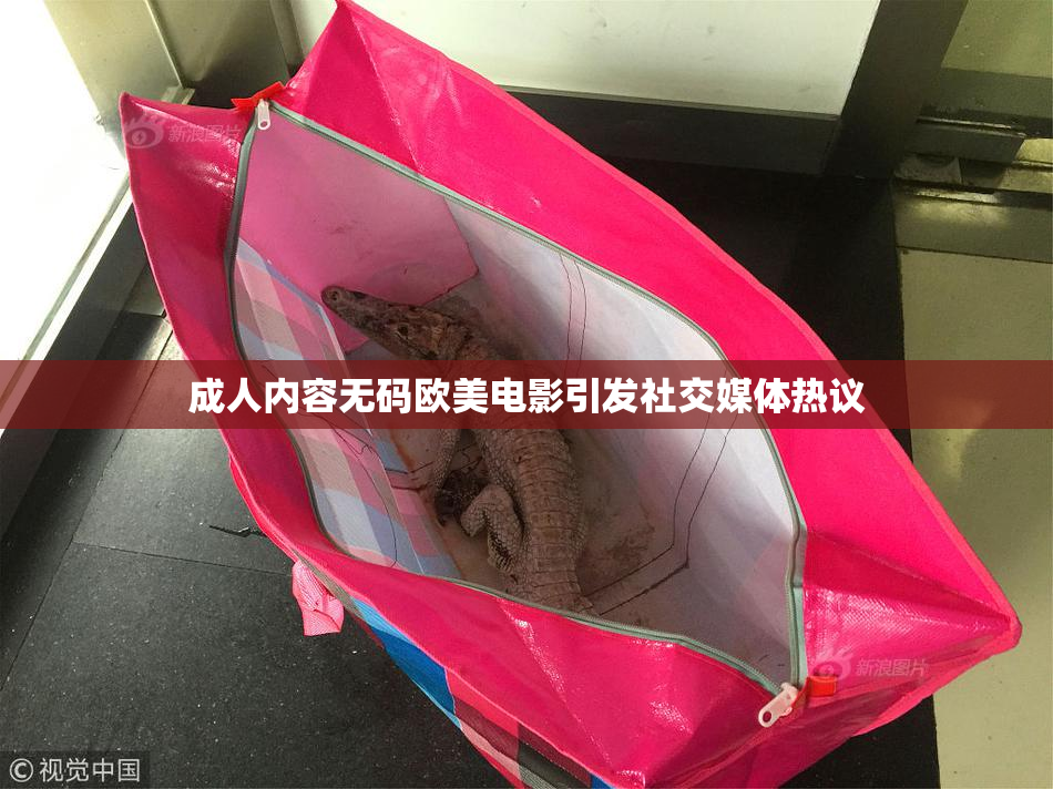 成人内容无码欧美电影引发社交媒体热议
