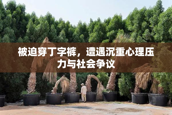 被迫穿丁字裤，遭遇沉重心理压力与社会争议