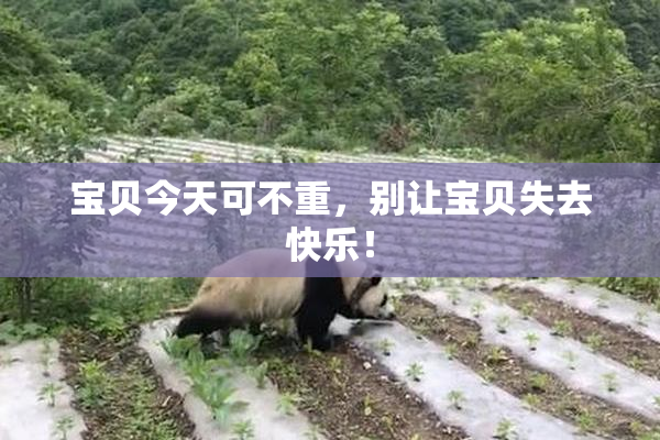 宝贝今天可不重，别让宝贝失去快乐！