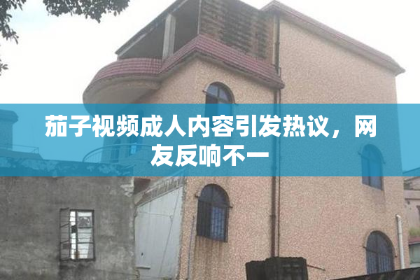 茄子视频成人内容引发热议，网友反响不一