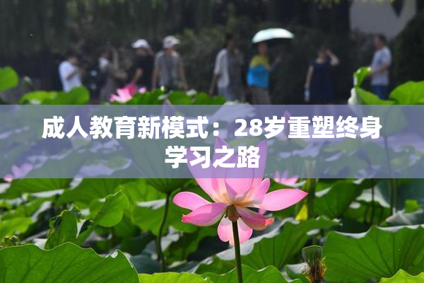 成人教育新模式：28岁重塑终身学习之路