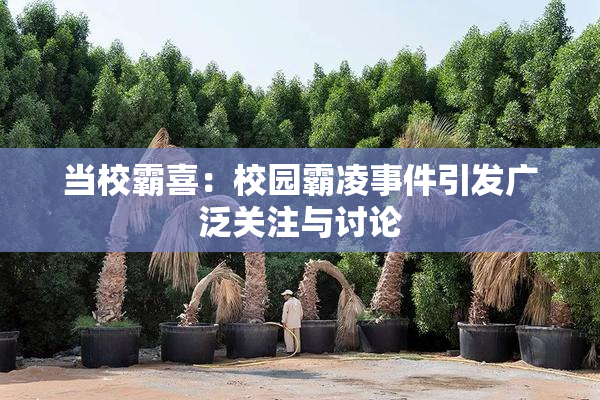 当校霸喜：校园霸凌事件引发广泛关注与讨论