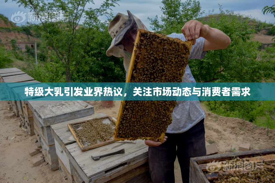 特级大乳引发业界热议，关注市场动态与消费者需求