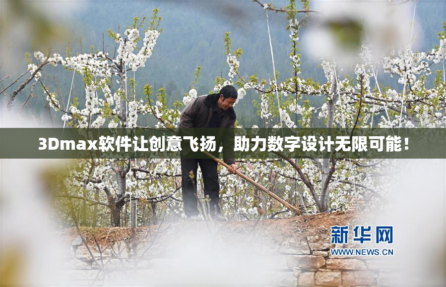 3Dmax软件让创意飞扬，助力数字设计无限可能！