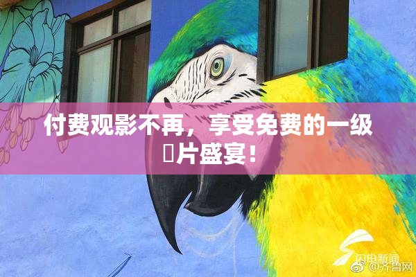付费观影不再，享受免费的一级婬片盛宴！
