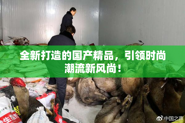 全新打造的国产精品，引领时尚潮流新风尚！