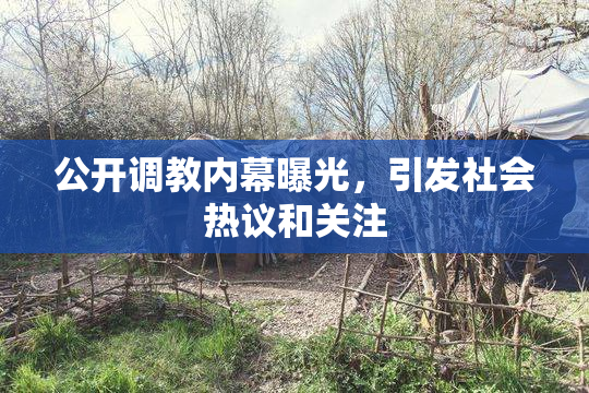 公开调教内幕曝光，引发社会热议和关注