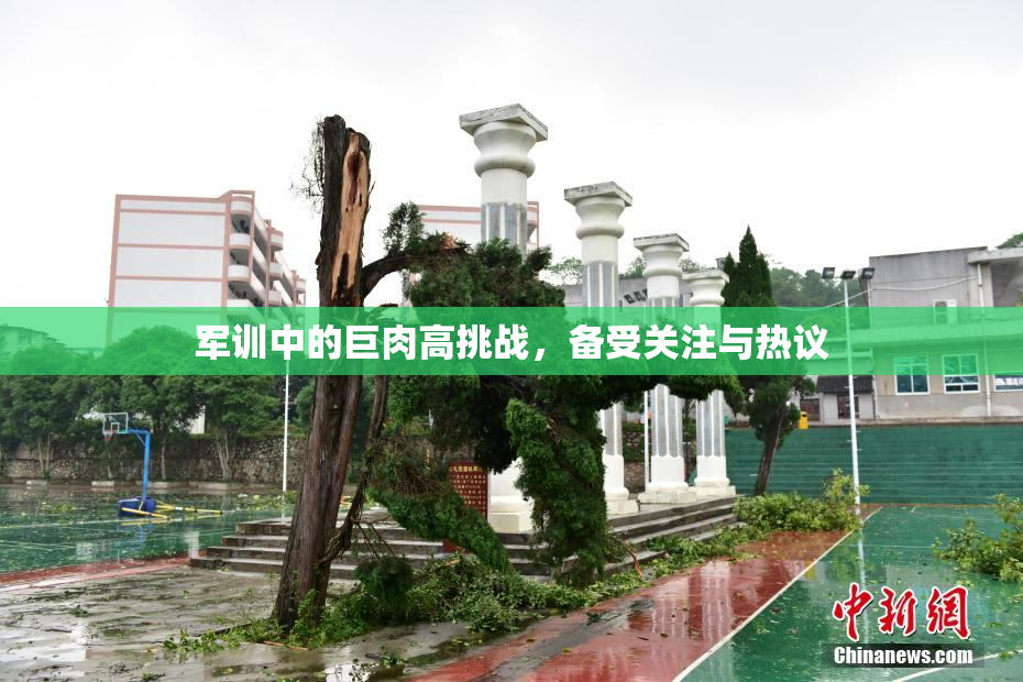 军训中的巨肉高挑战，备受关注与热议