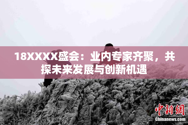18XXXX盛会：业内专家齐聚，共探未来发展与创新机遇