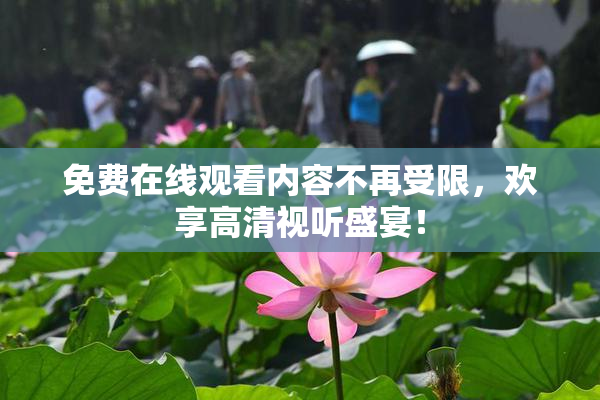免费在线观看内容不再受限，欢享高清视听盛宴！