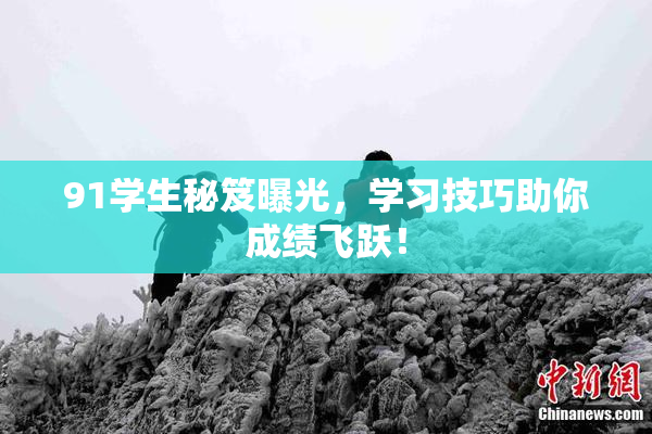 91学生秘笈曝光，学习技巧助你成绩飞跃！
