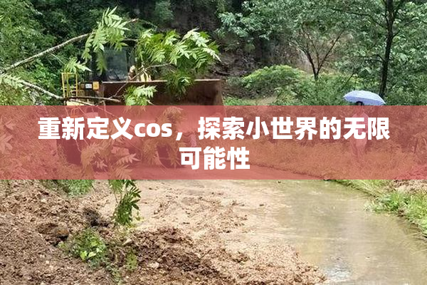 重新定义cos，探索小世界的无限可能性