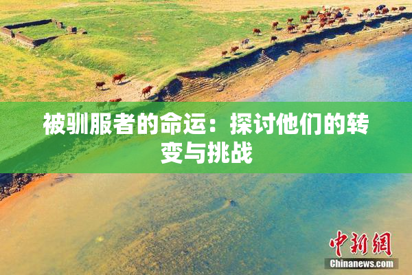 被驯服者的命运：探讨他们的转变与挑战