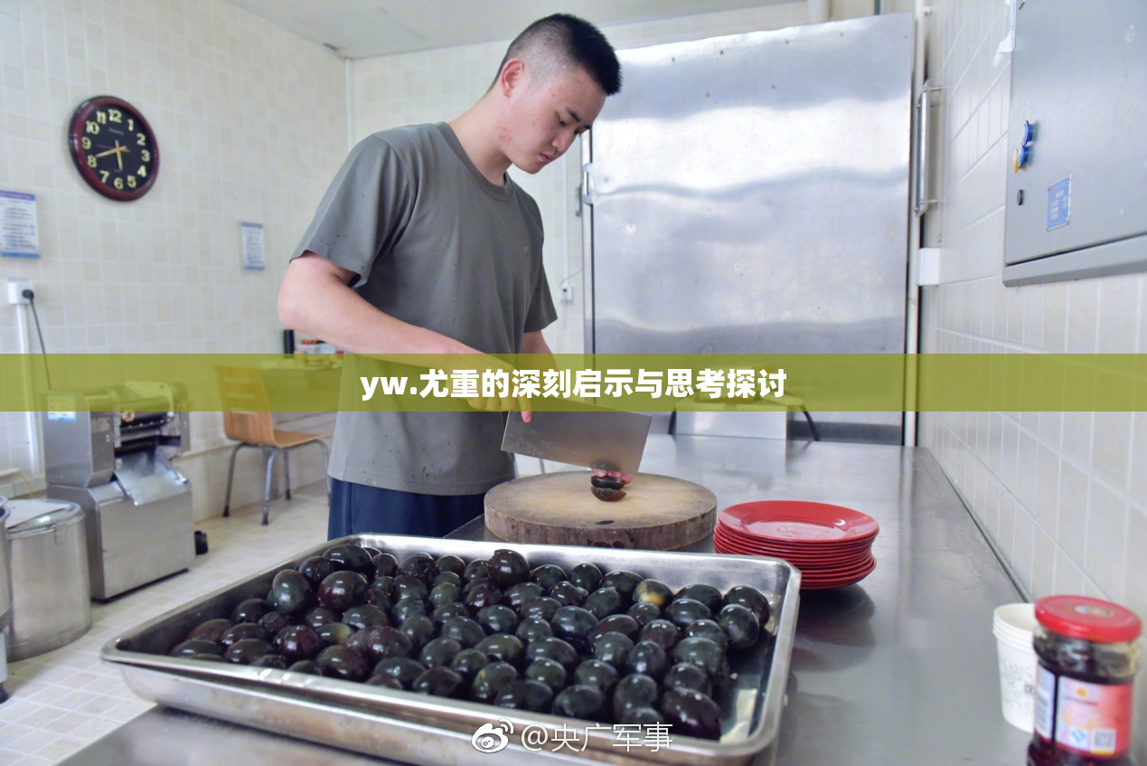 yw.尤重的深刻启示与思考探讨