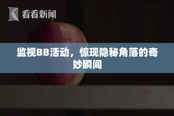 监视BB活动，惊现隐秘角落的奇妙瞬间