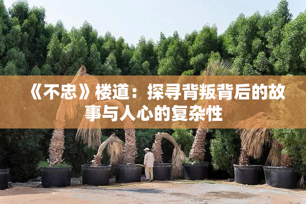 《不忠》楼道：探寻背叛背后的故事与人心的复杂性