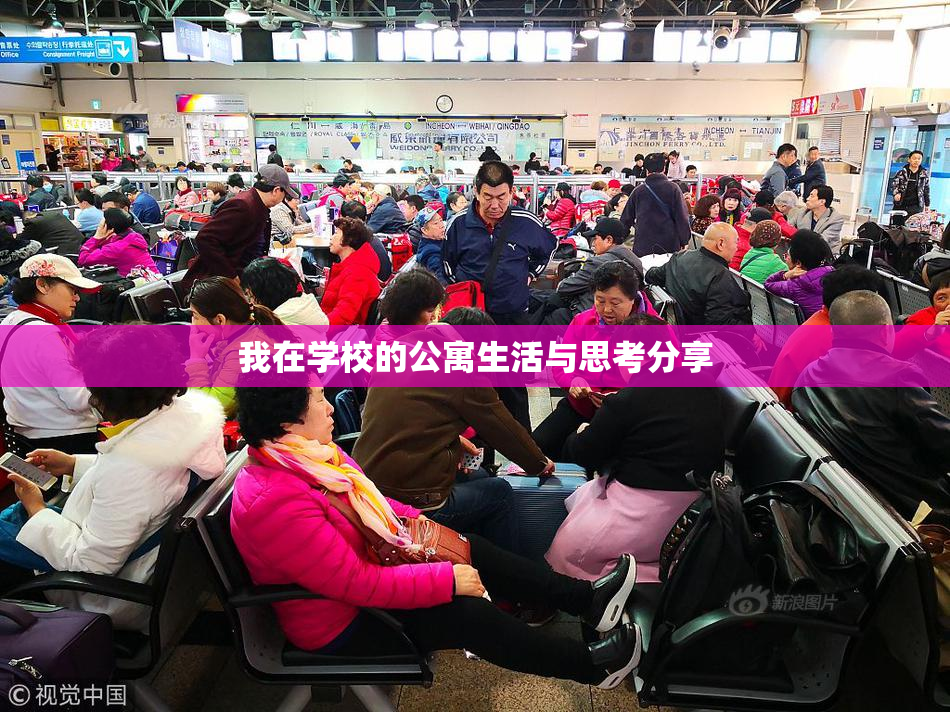我在学校的公寓生活与思考分享