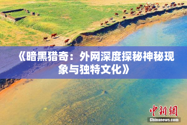 《暗黑猎奇：外网深度探秘神秘现象与独特文化》